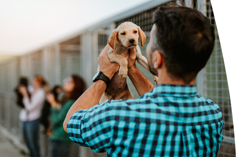 young adult man adopting dog
